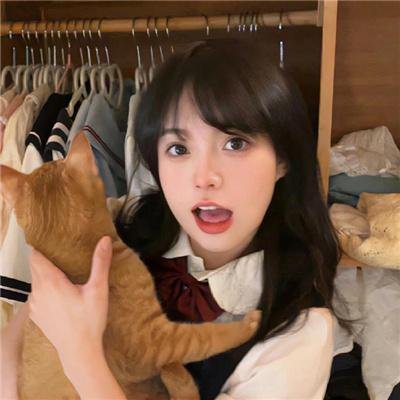 仙女座报告